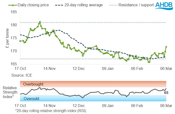 Line graph of UK feed wheat futures May-26 prices over the past six months.